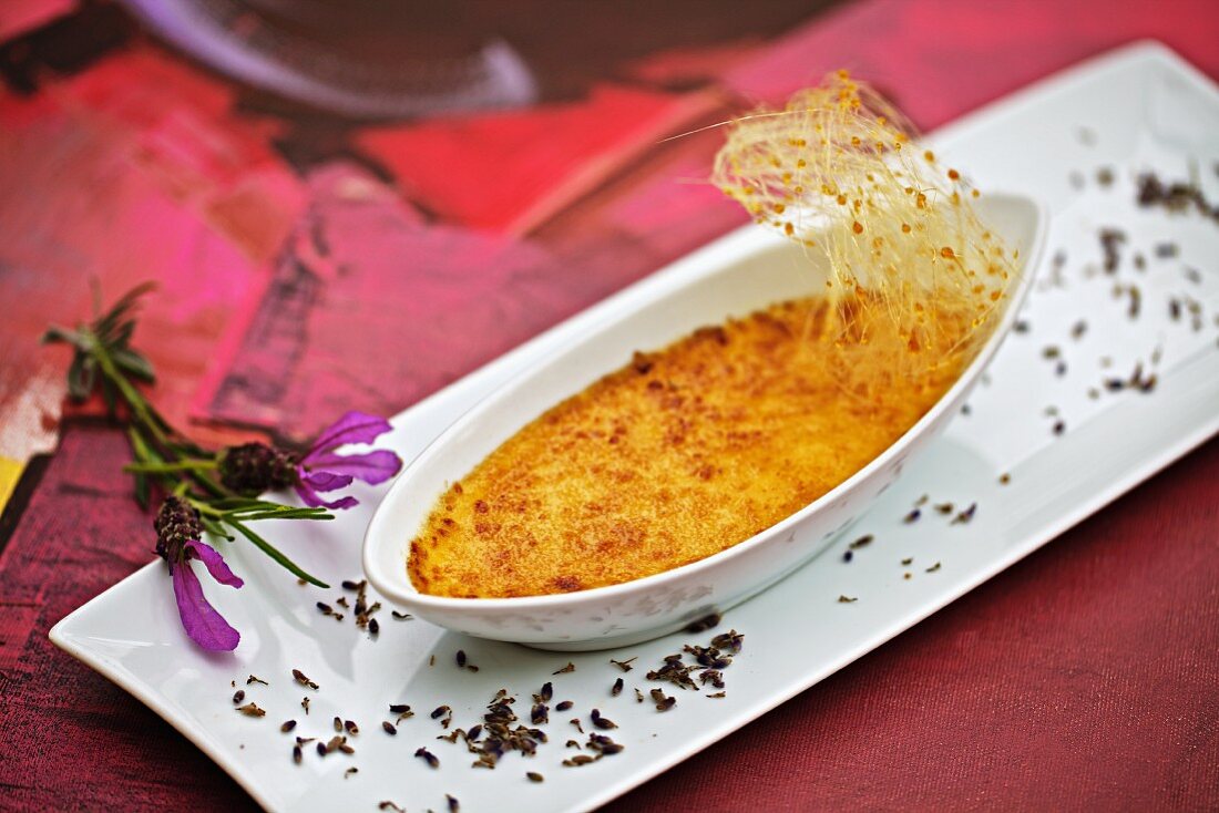 Crème brûlée mit Lavendel