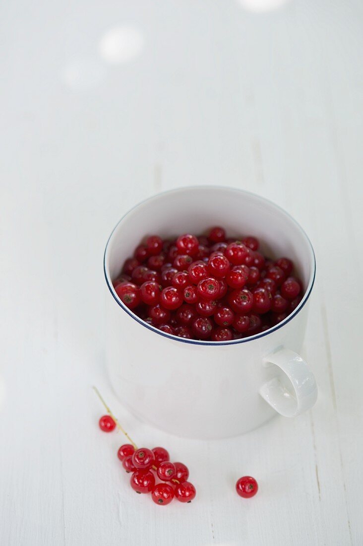 Eine Tasse mit roten Johannisbeeren auf Gartentisch