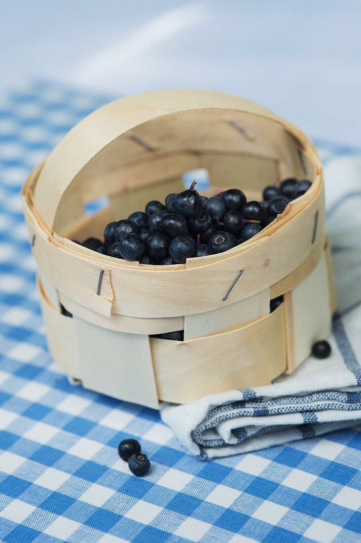 Waldheidelbeeren im Spankörbchen