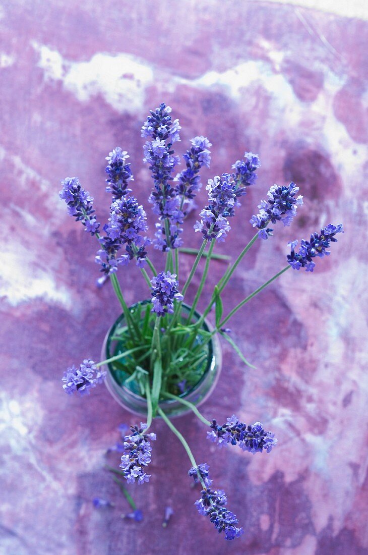 A bunch of lavender in a glass