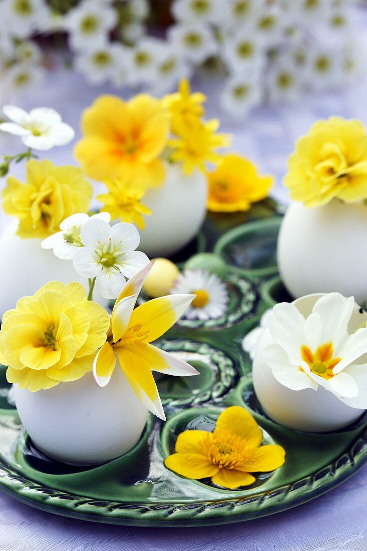 Eggshells used as miniature vases with yellow & white spring flowers