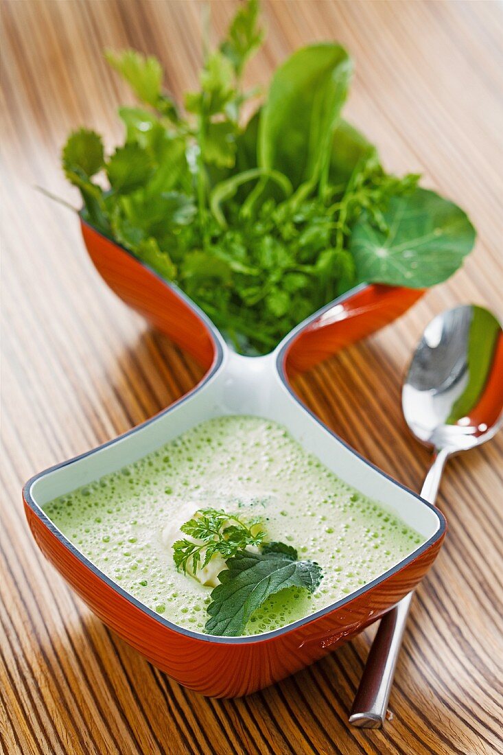 Herb soup with nettles, watercress, chervil, sorrel and chickweed