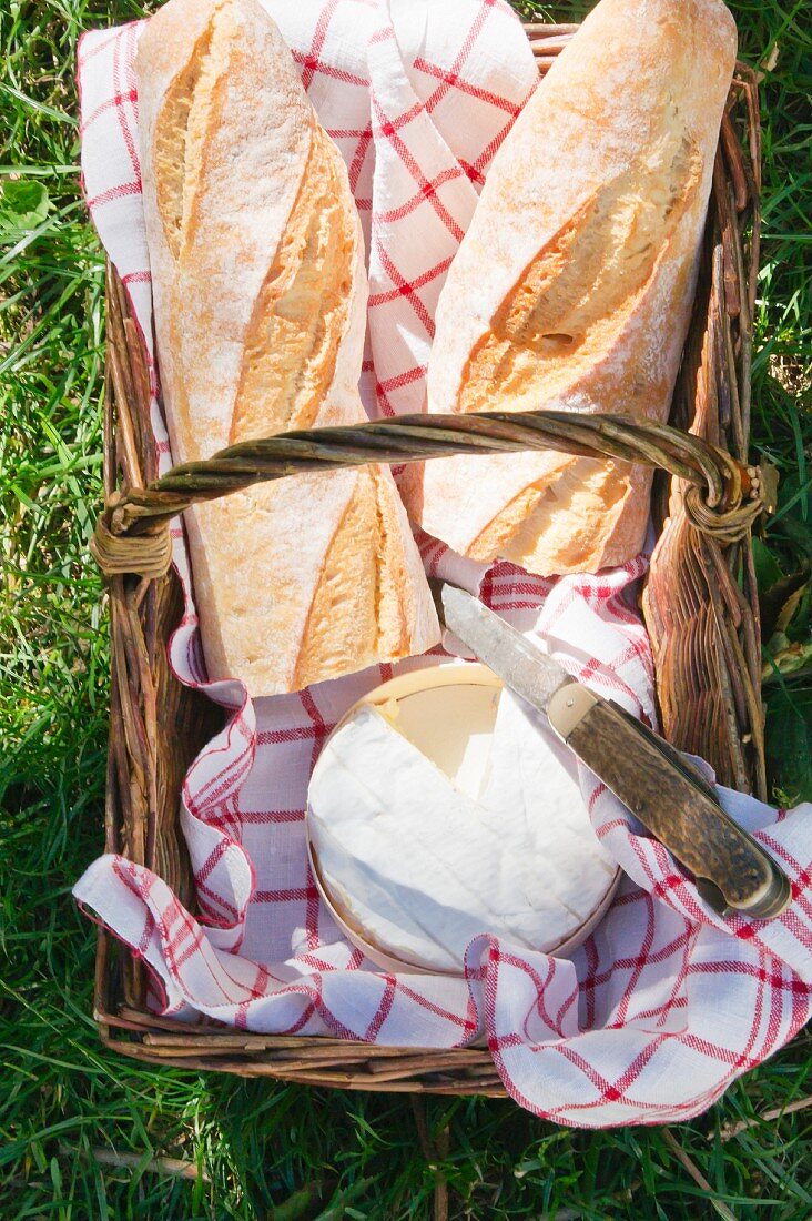 Baguette & Camembert in Picknickkorb auf Wiese (Aufsicht)