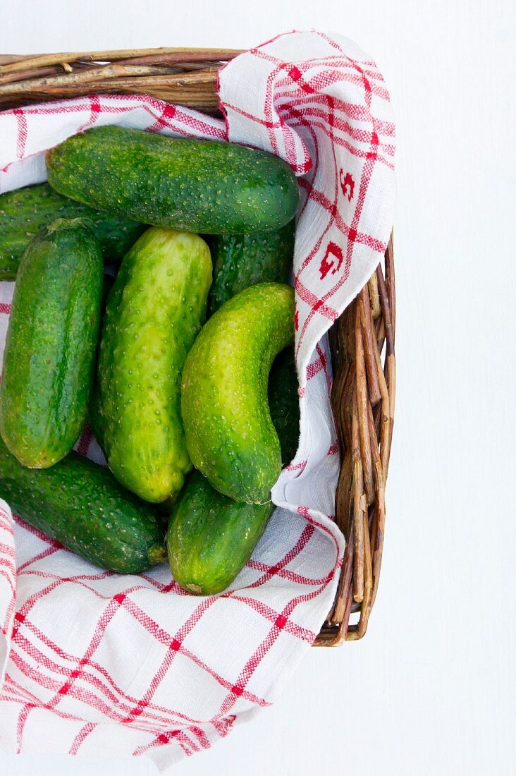 Pickling cucumbers with a cloth in a basket