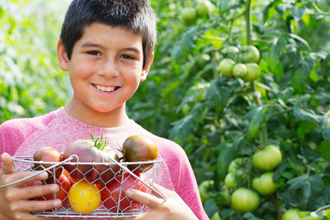 A boy holding a basket of heirloom tomatoes