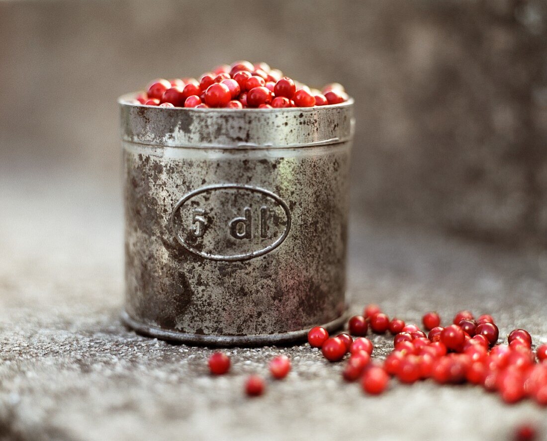 Cranberries in an old measuring cup