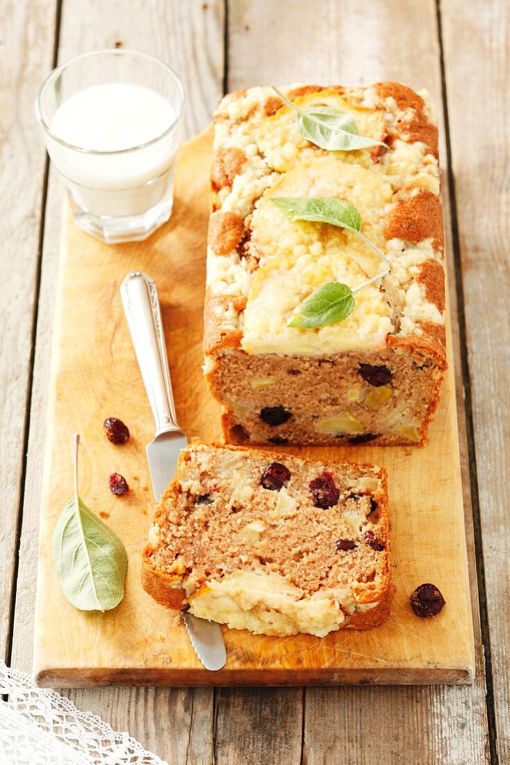 Apple cake with dried cranberries and cinnamon