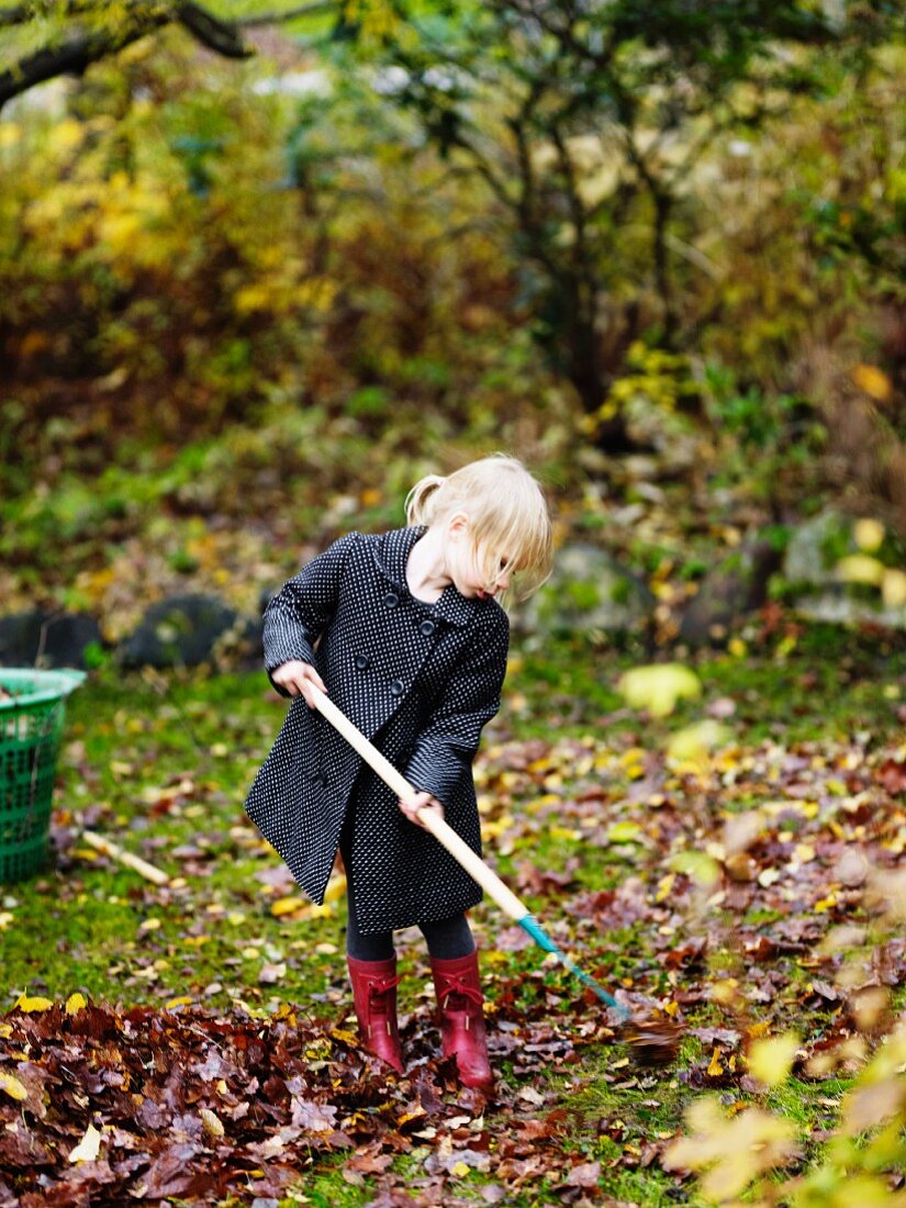 Girl raking autumn leaves