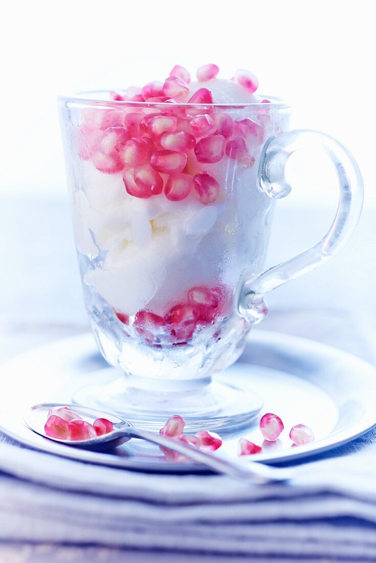 Coconut sorbet with pomegranate seeds