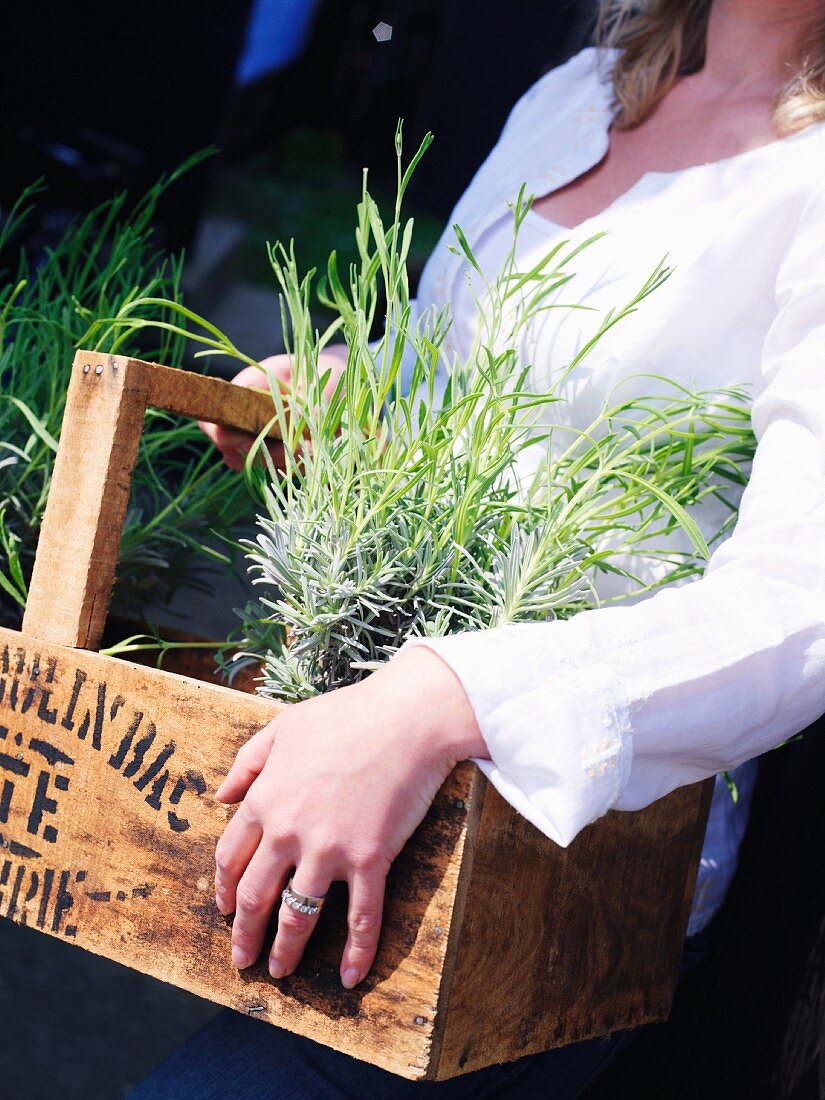 Woman holding pots of herbs in wooden crate