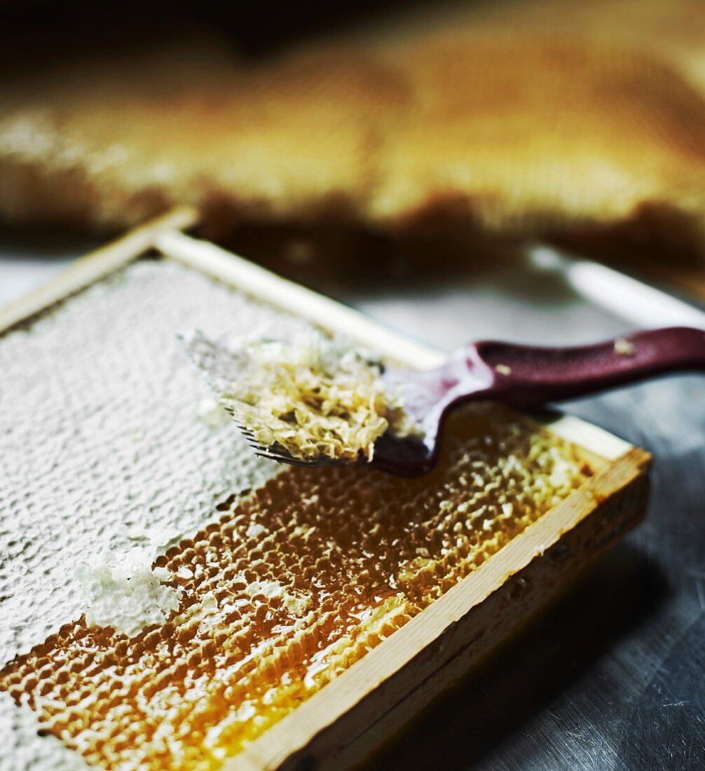 Close-up of honeycomb