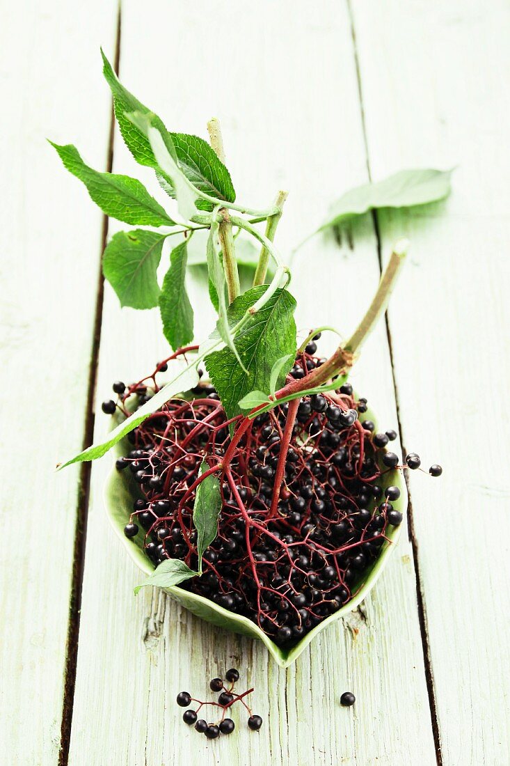 A bunch of elderberries with stack and leaves, in a bowl