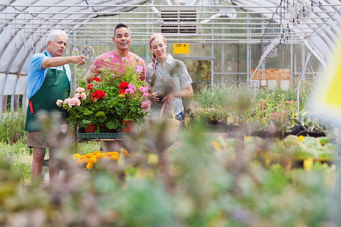 Familie mit Verkäufer im Gespräch beim Blumeneinkauf im Gartencenter