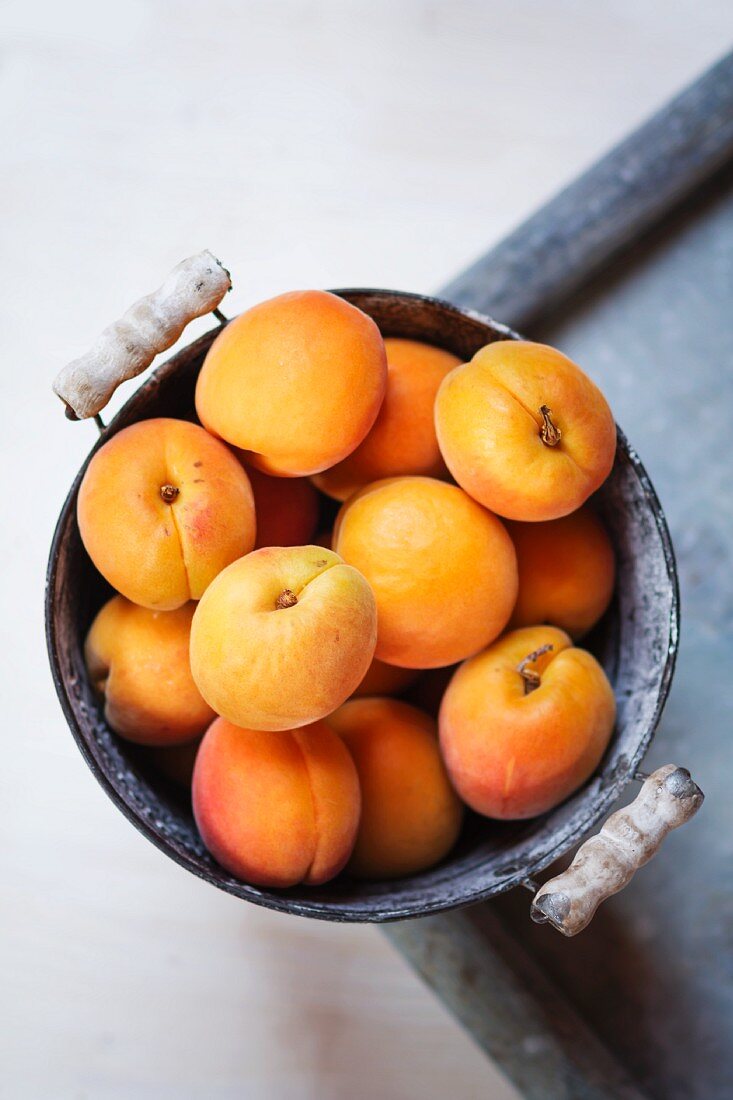 Apricots in an old zinc bucket