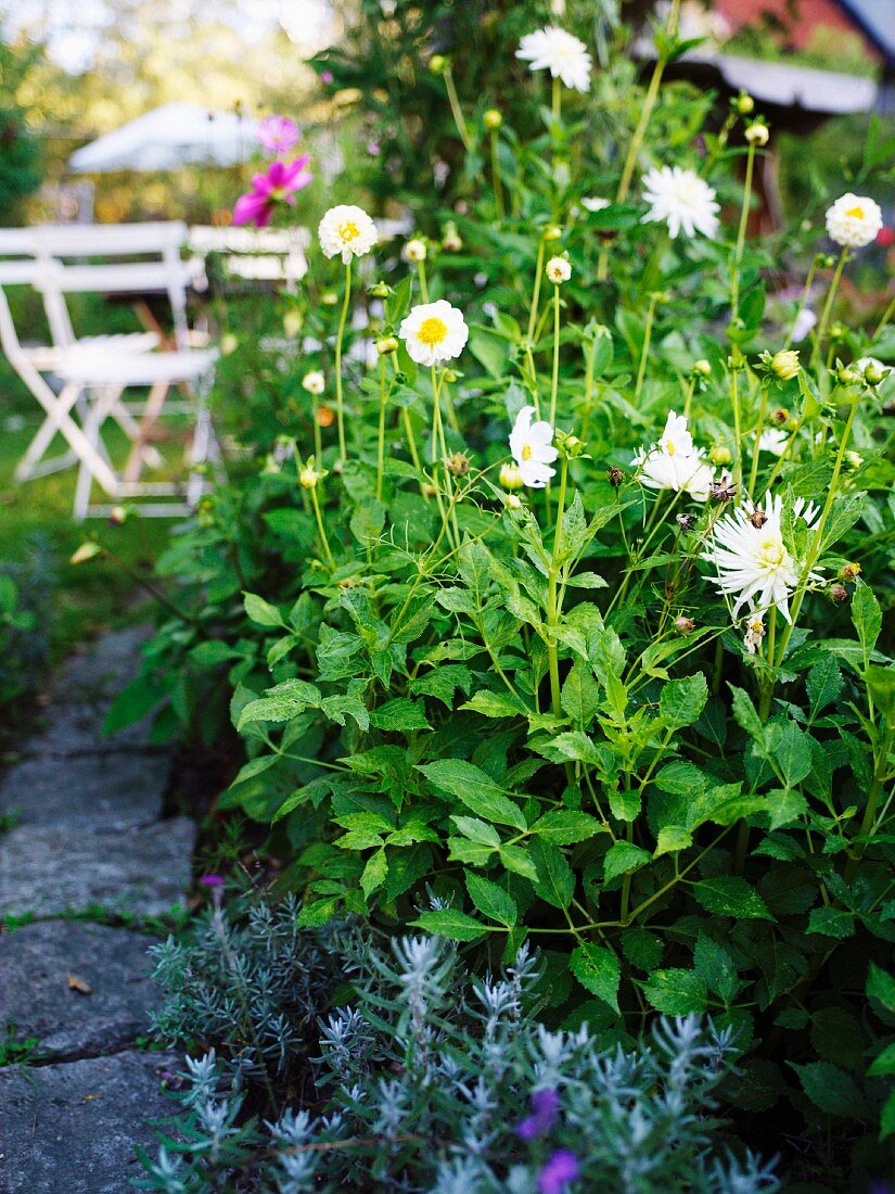 A flourishing garden, Sweden