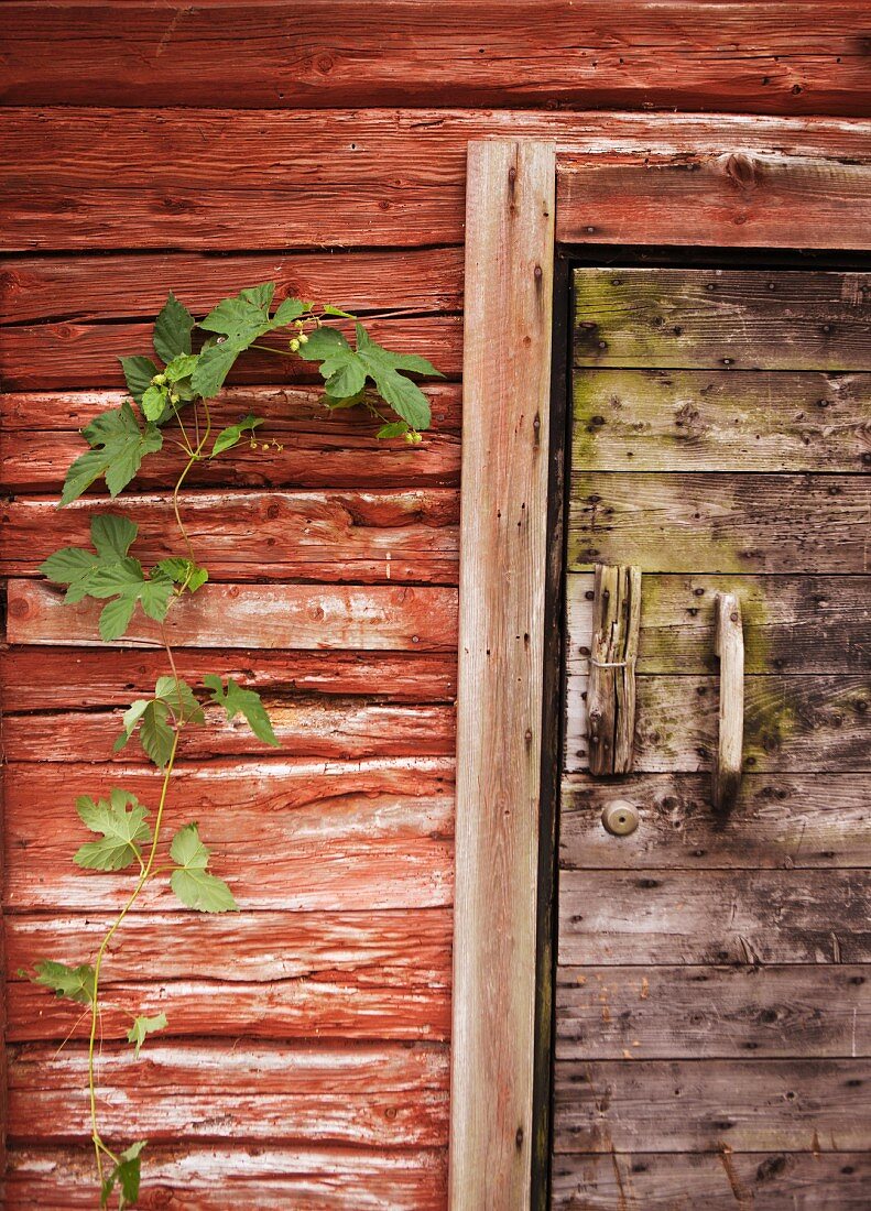 Part of log cabin