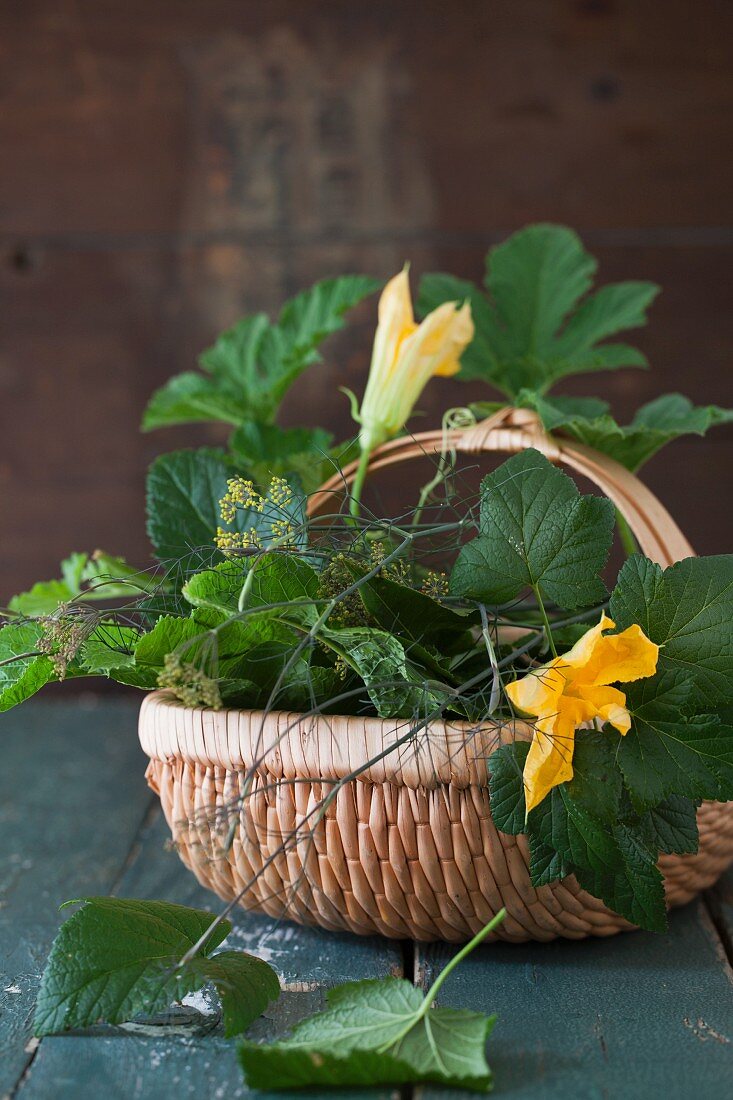 Basket with different leaves from garden