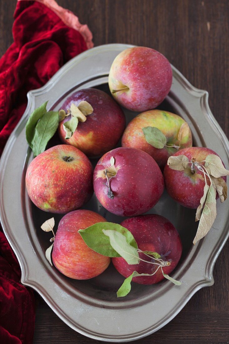 Frische rote Äpfel mit Blättern auf Tablett