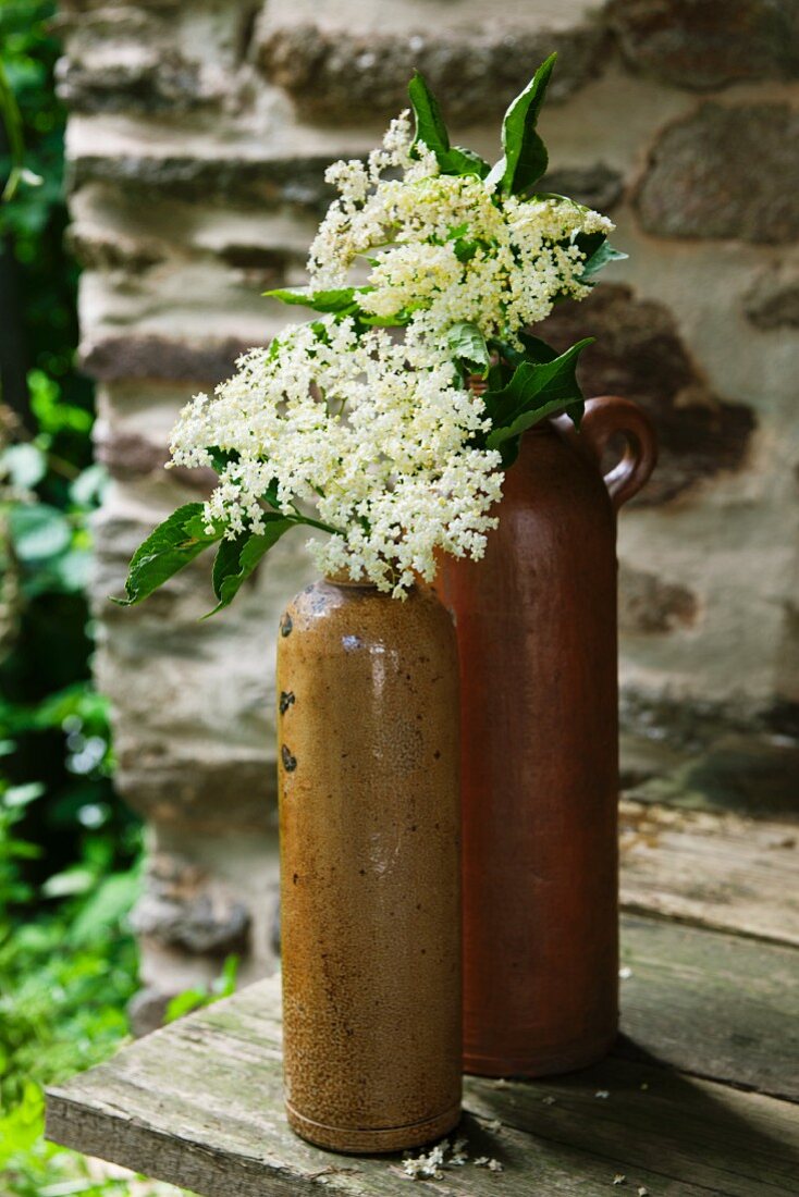 Holunderblüten in alten Steinzeugflaschen auf Holztisch vor einer Steinmauer im Garten