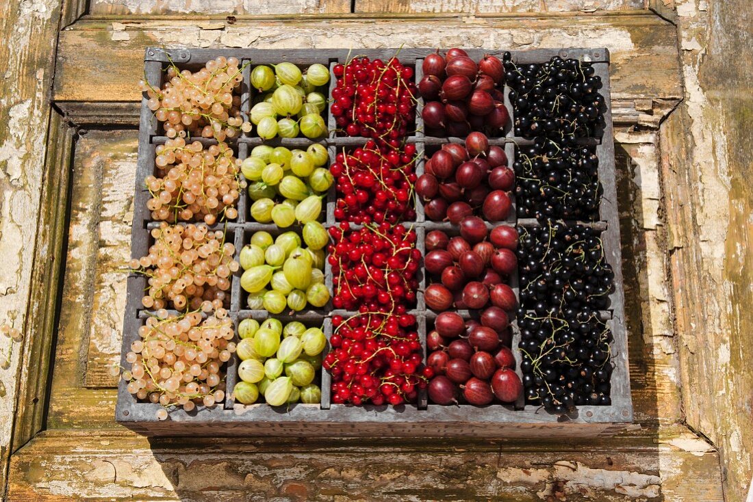 Assorted berries in an old wooden crate on a wooden surface (currants, gooseberries)