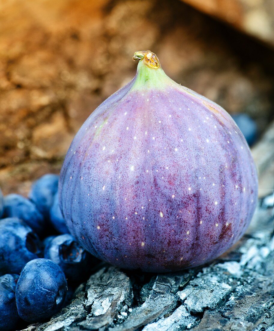 Fig and blueberries on tree bark (close-up)