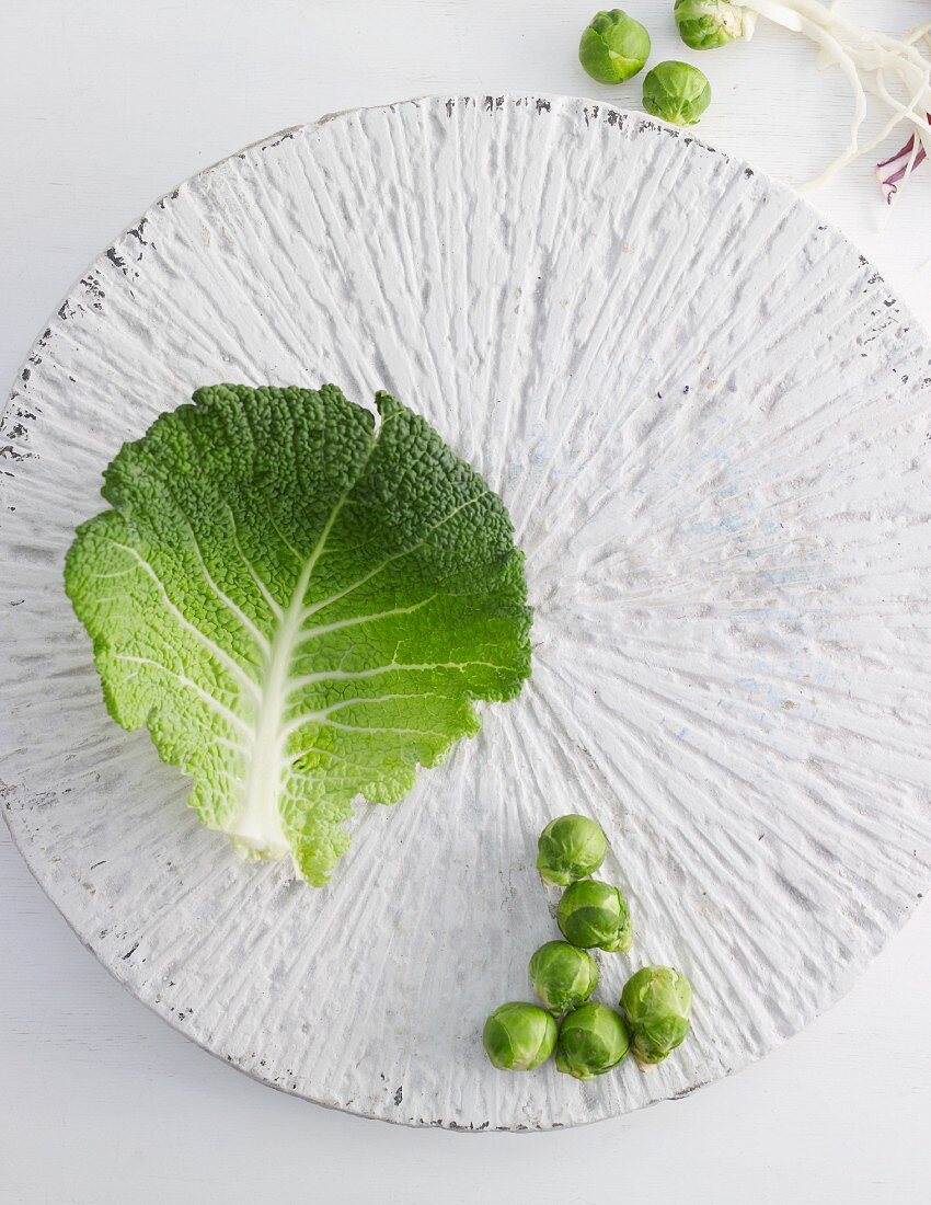 A savoy cabbage leaf and Brussels sprouts