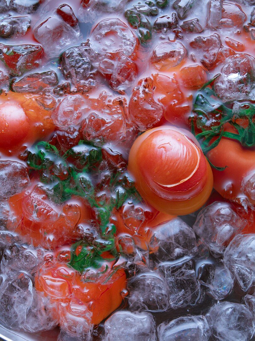 Tomaten im Eiswasser