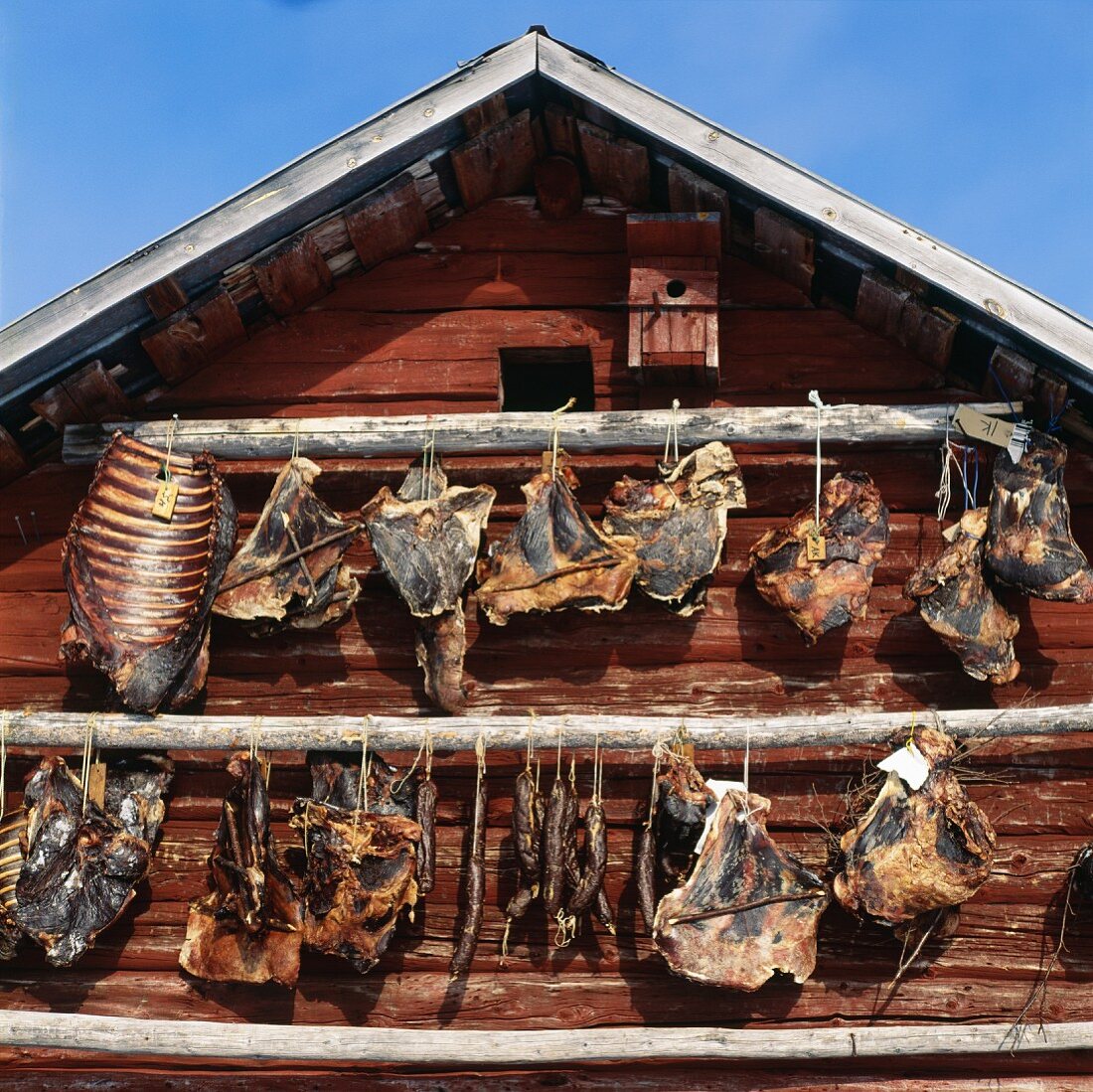 Reindeer meat hanging on exterior wall of wooden house to dry