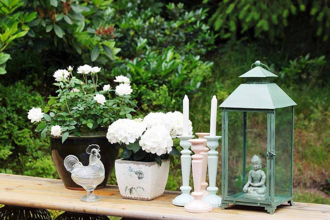 Garten-Stillleben mit weissen Blumen im Topf und Kerzenständer neben Laterne auf schlichter Holzbank