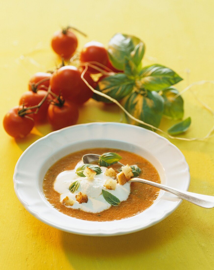 Tomato soup with sour cream, basil and croutons