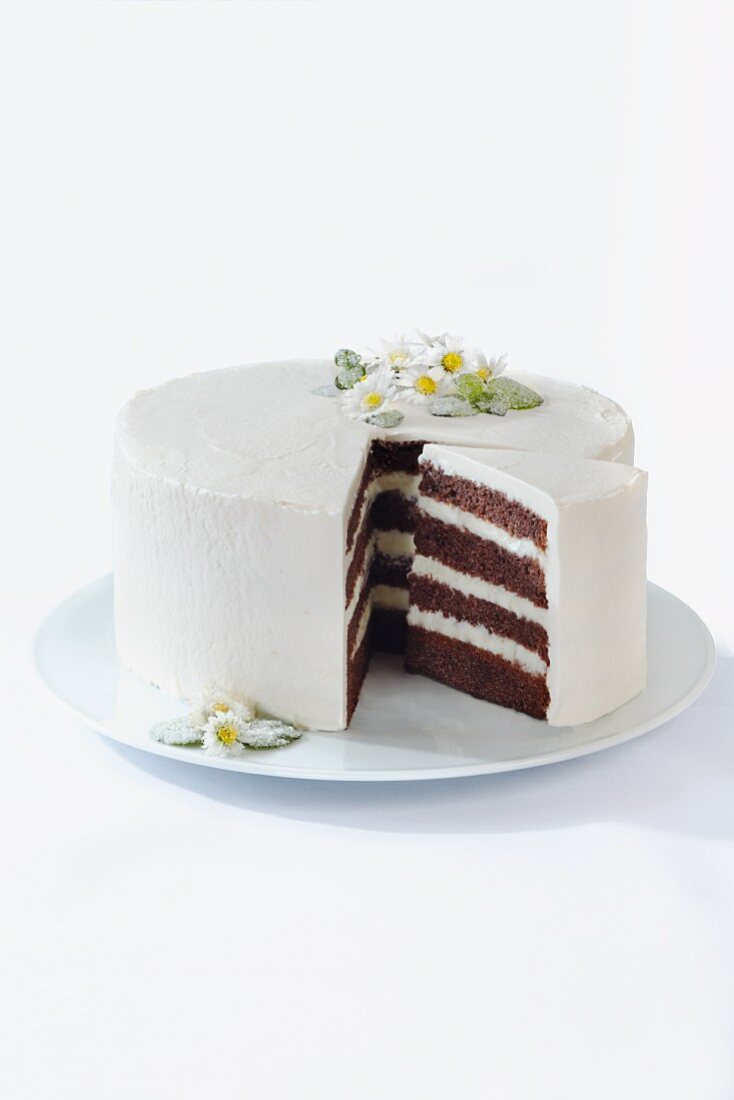 Schokoladencremetorte mit gezuckerten Gänseblümchen und Minze (angeschnitten)