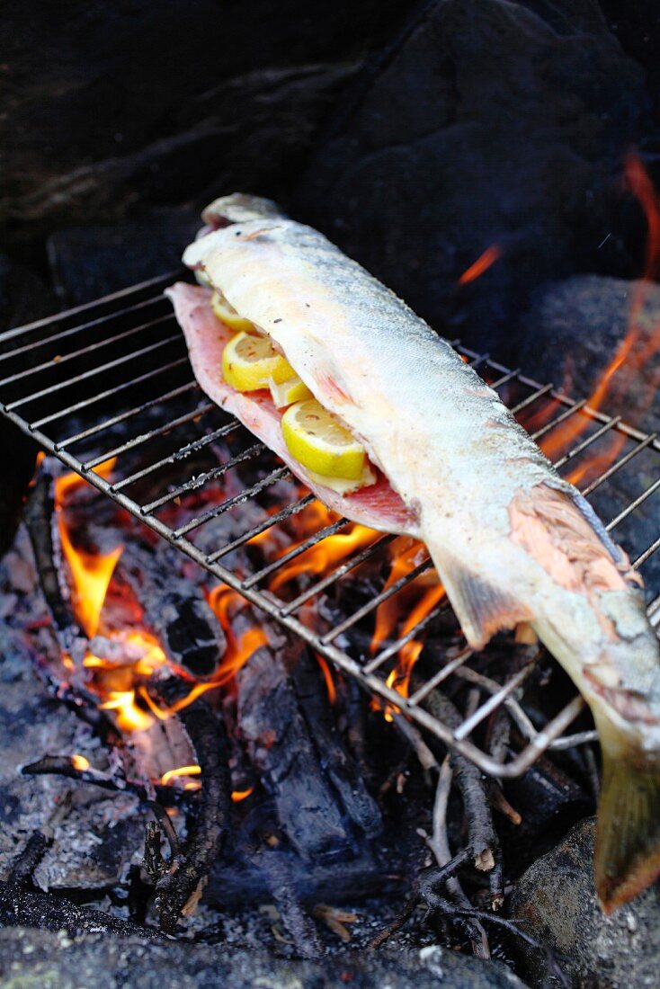 Arctic char grilling above open fire