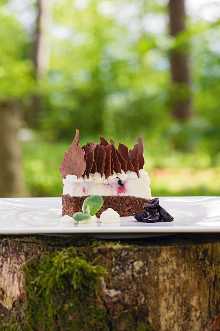 A slice of Black Forest cherry gateau
