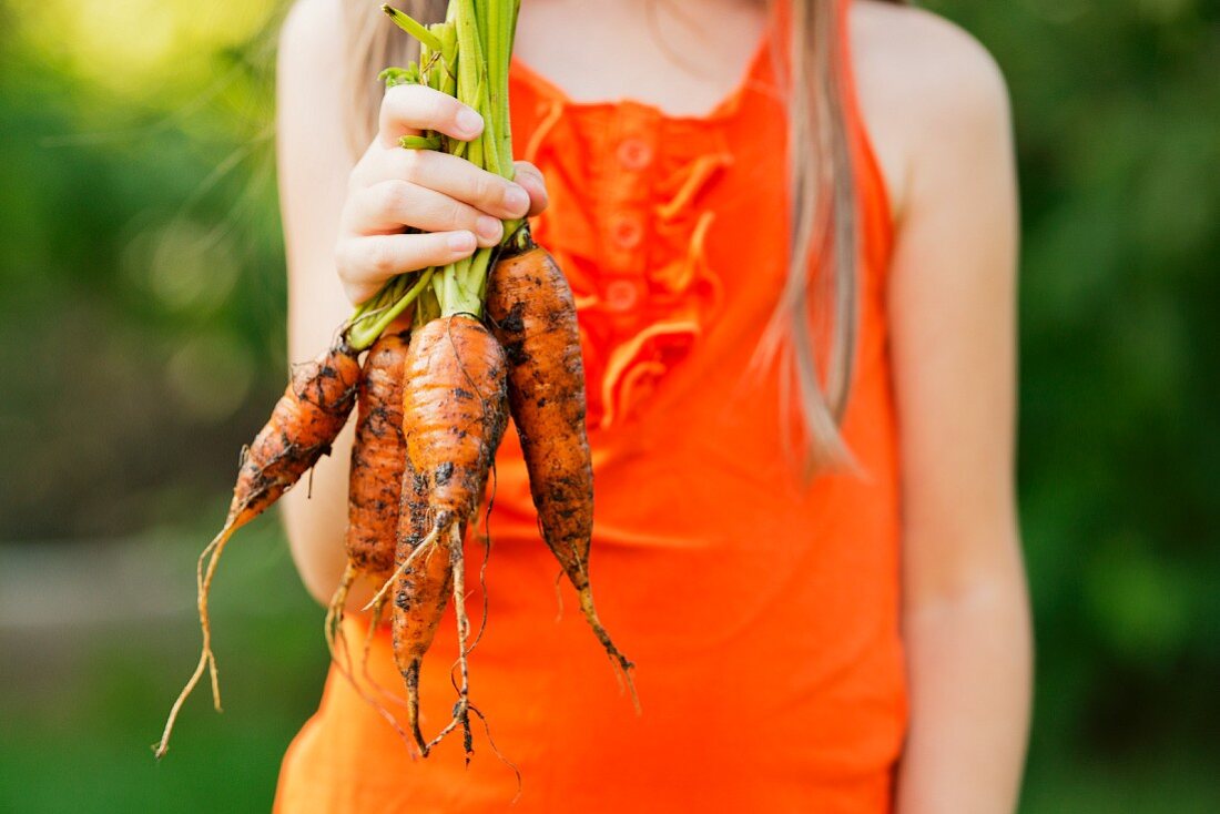 A girl holding carrots