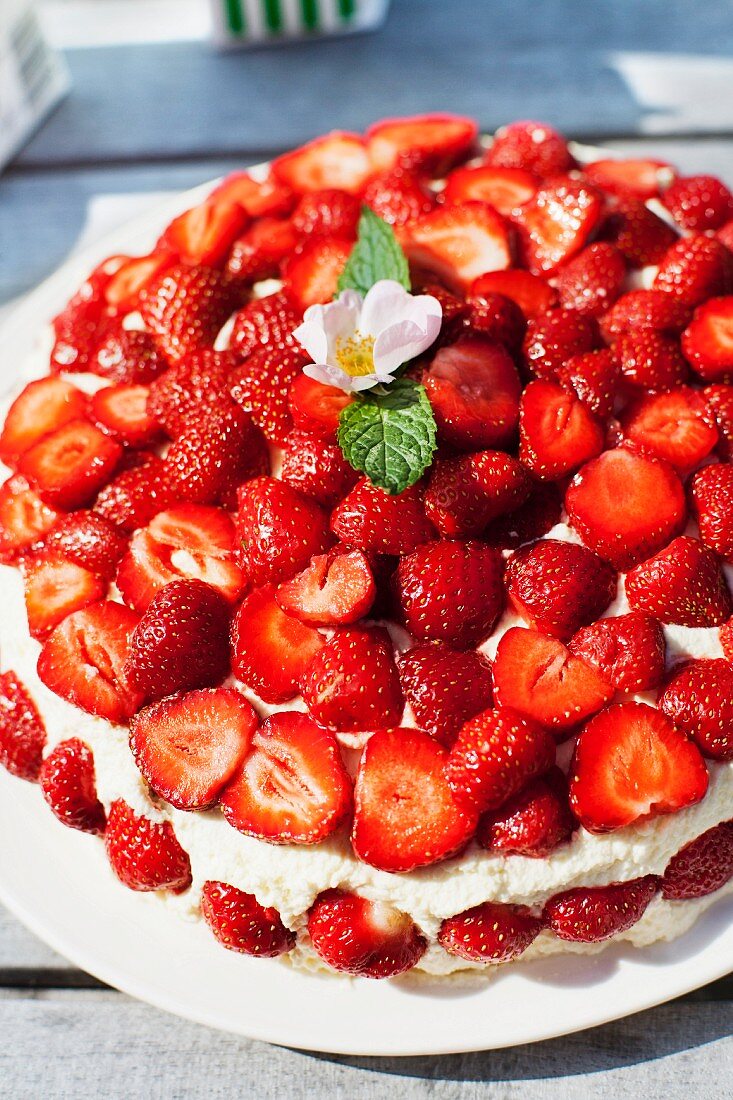 Erdbeerenkuchen mit Sahne und Erdbeerblüte
