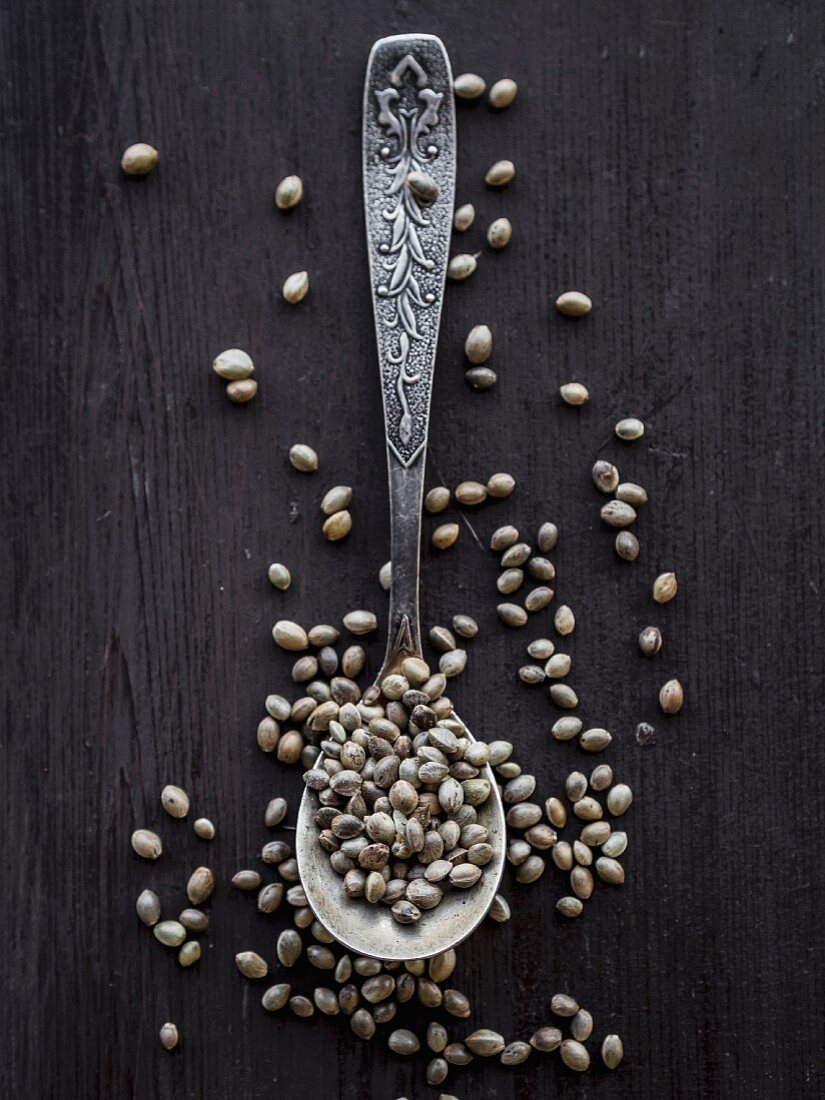 Cannabis grains on a teaspoon.