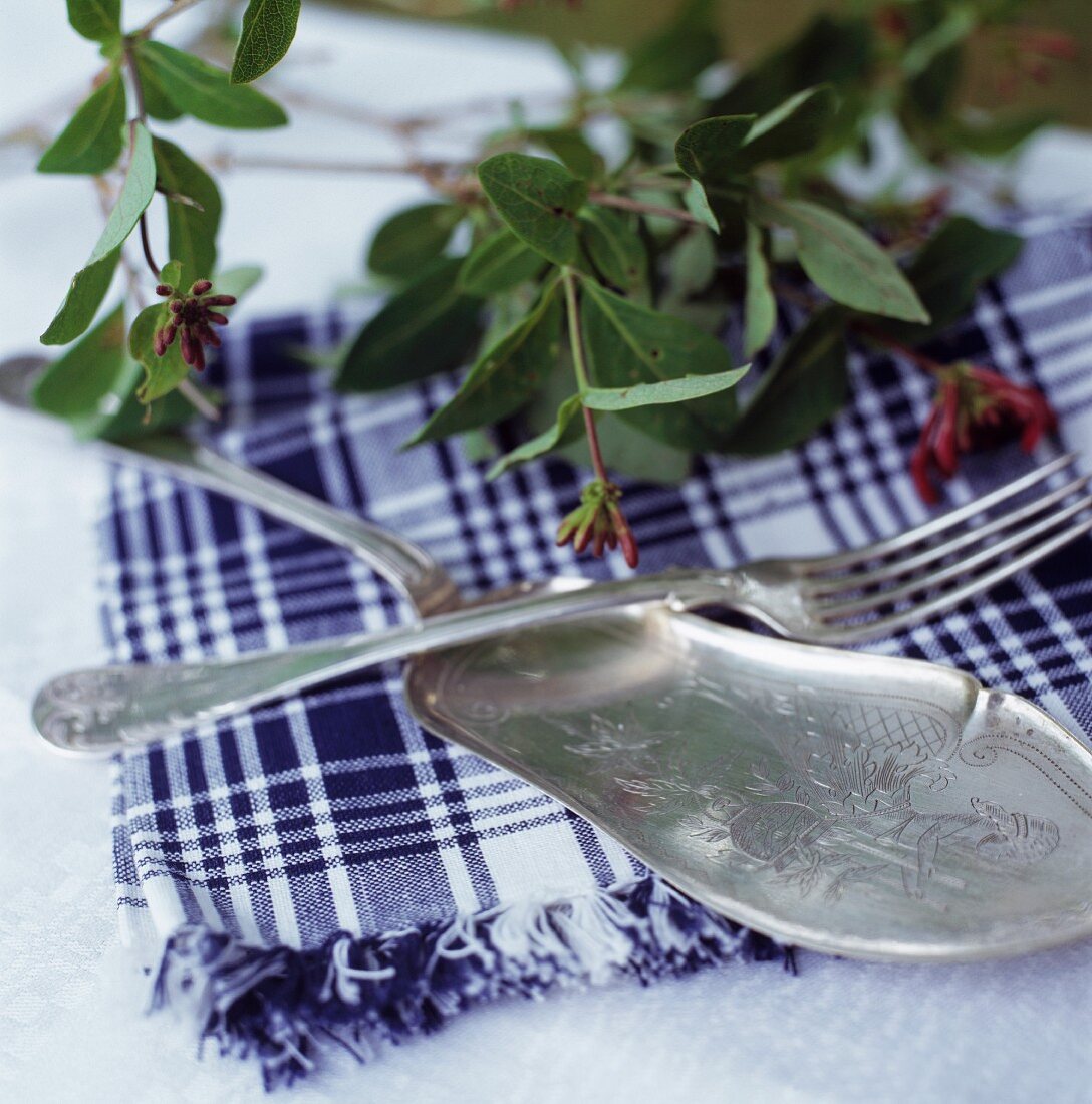 A fork and a cake slice on a checked napkin