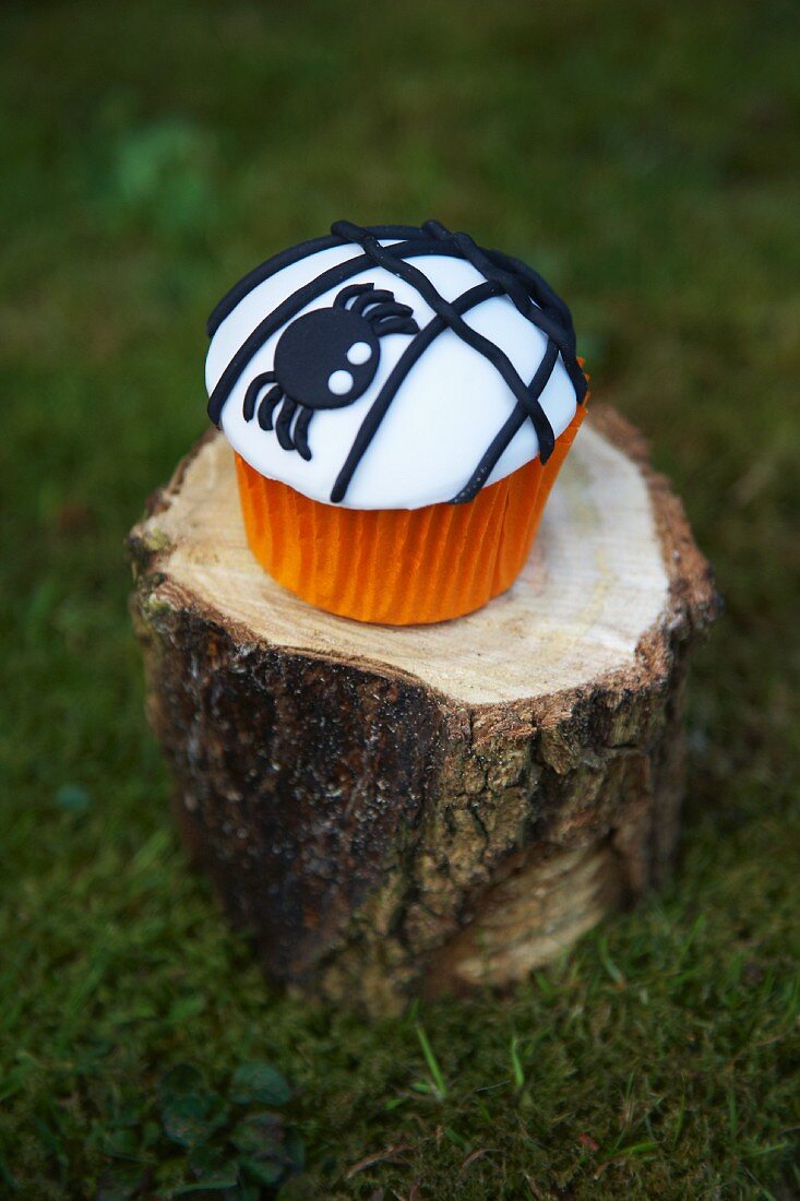 A cupcake decorated with a black spider for Halloween