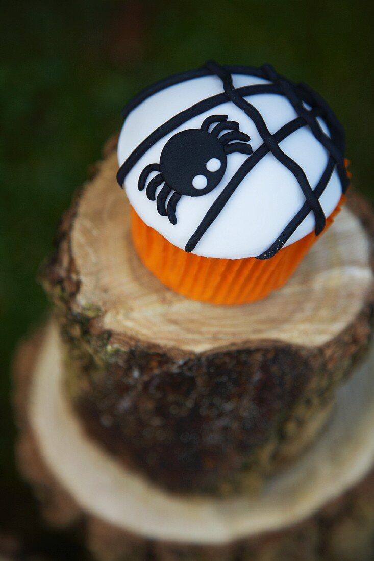 Cupcake decorated with a black spider for Halloween