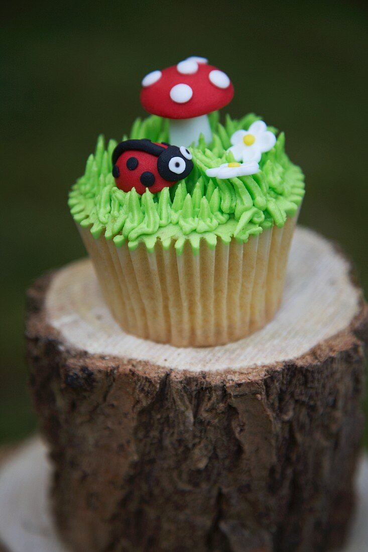 A cupcake decorated with a ladybird and a toadstool
