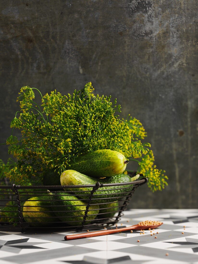 Frische Einlegegurken mit Dill & Senfkörnern