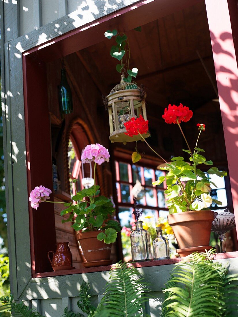 Flowerpots in a window, Sweden.