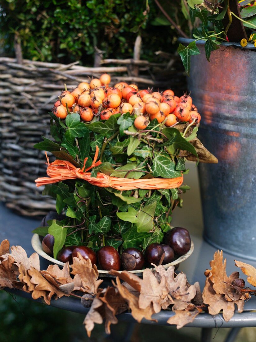 Bunch of rose hip with chestnut around on bench