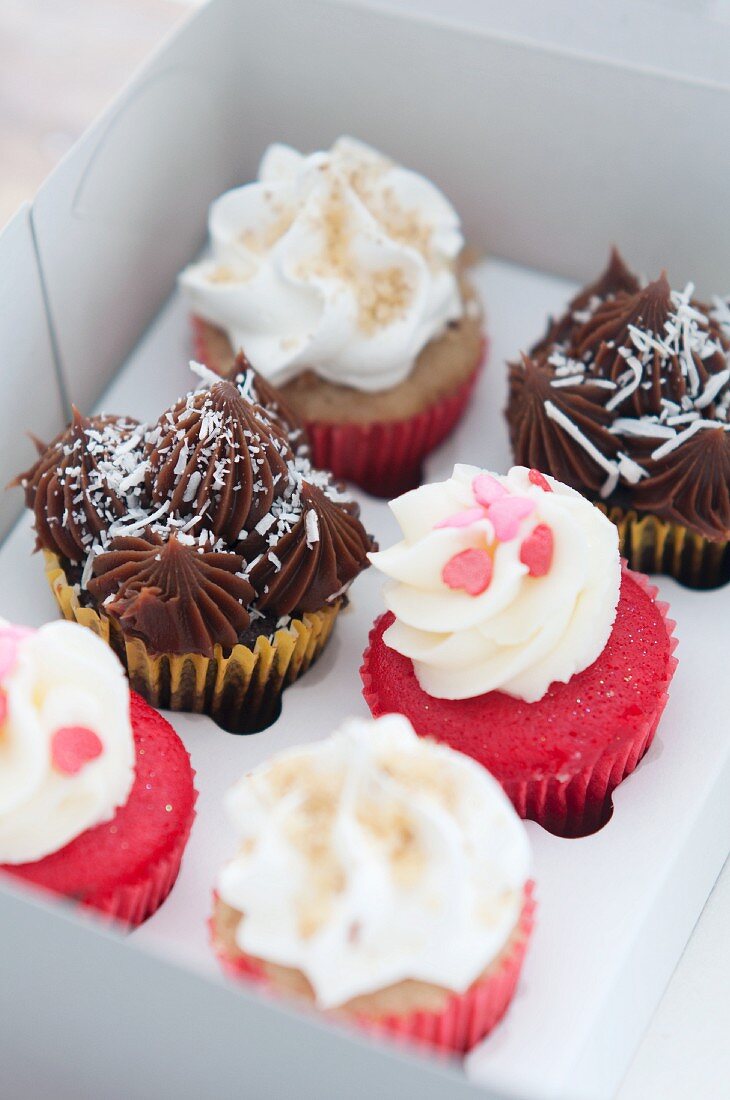 Verschiedene Mini-Cupcakes in einer Schachtel