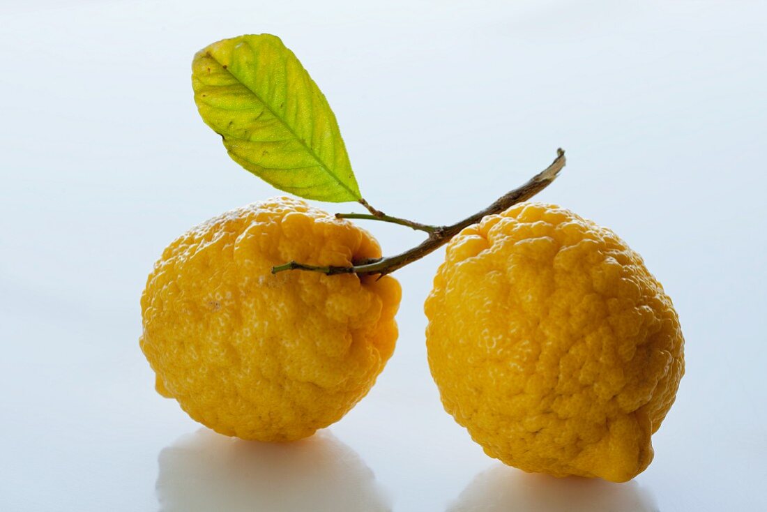 Zwei Zitronen mit Blatt
