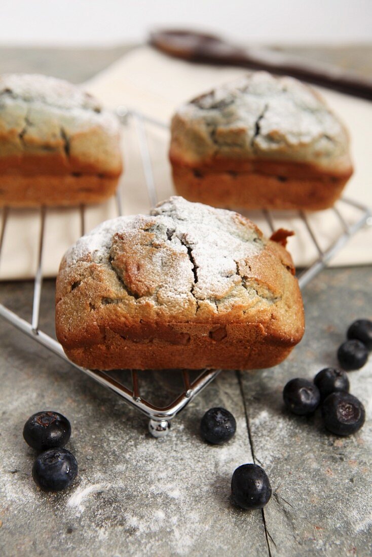 Blueberry and banana loaves