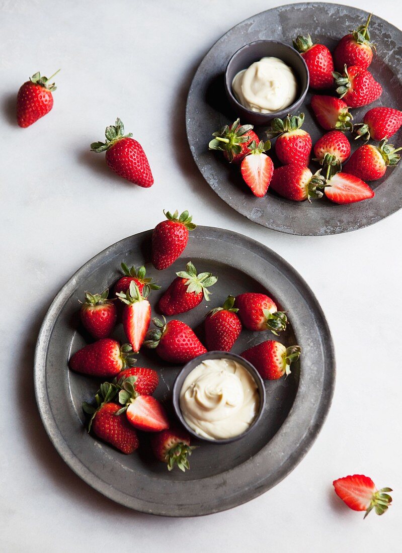 Frische Erdbeeren mit Dip aus weisser Schokolade