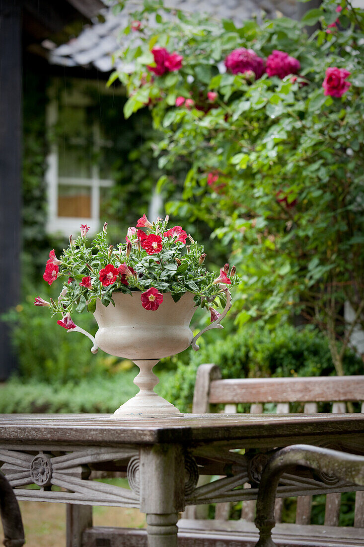 Urn planted with summer flowers on artistically carved, old wooden table and climbing rose on terrace in front of idyllic country house