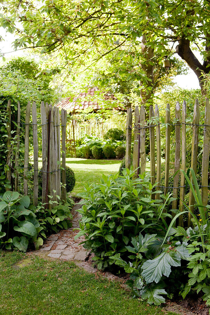Paling fence separating beds in garden