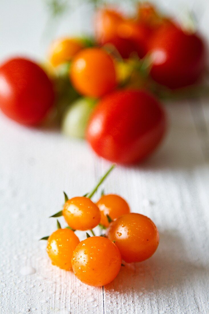 Assorted tomatoes on a white-painted wooden table